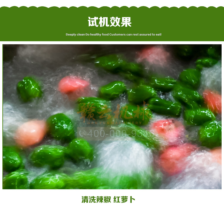 食品消毒洗菜機(jī)細(xì)節(jié)