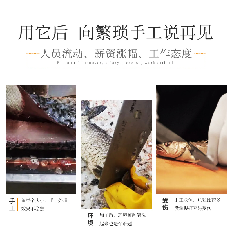 殺魚機(jī)與傳統(tǒng)殺魚對(duì)比